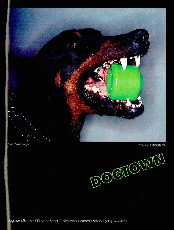 dogtowndog-9150