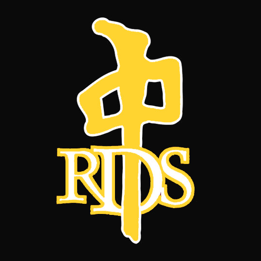 RDS Logo Yellow Flip Red Dragon Skateboards Canada Online Sales Vancouver Pickup