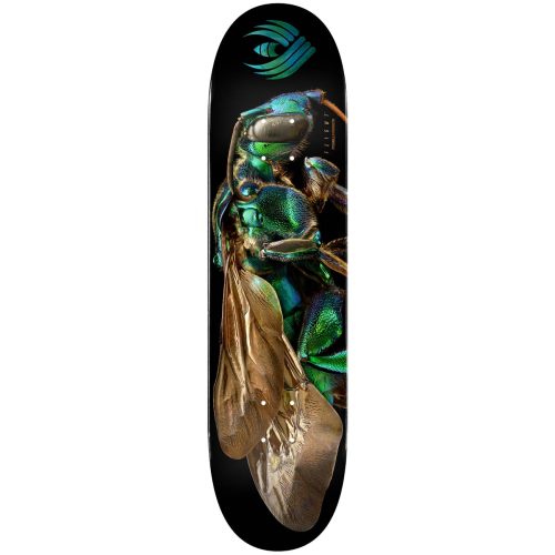 Powell Peralta Flight® Skateboard Deck BISS Cuckoo Bee Shape 242 8.0 Canada Online Sales Vancouver Pickup Warehouse Distributor