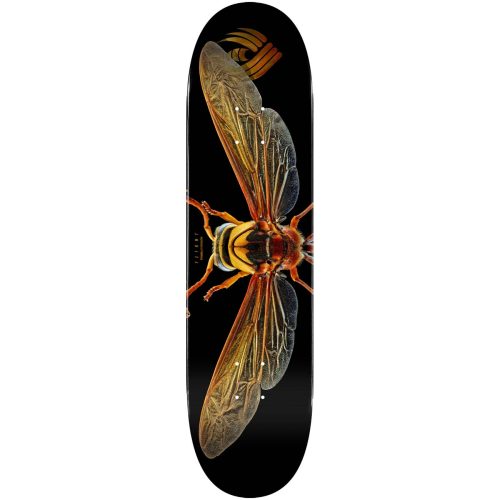 Powell Peralta Flight® Skateboard Deck BISS Potter Wasp Shape 247 8.0" Canada Online Sales Vancouver Pickup Warehouse Distributor