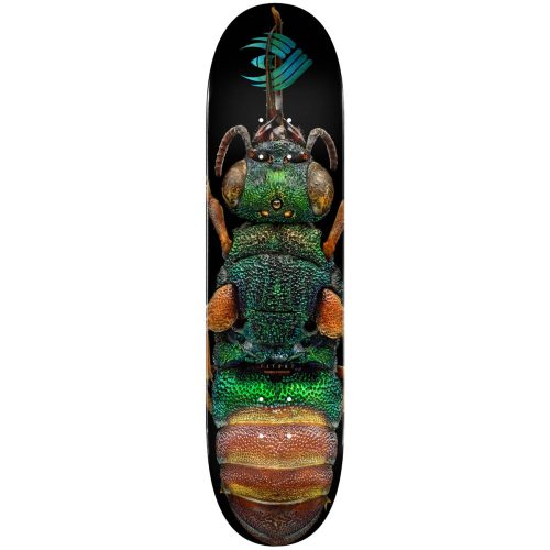 Powell Peralta Flight® Skateboard Deck BISS Ruby Tailed Wasp Shape 244 8.5 Canada Online Sales Vancouver Pickup Warehouse Distributor