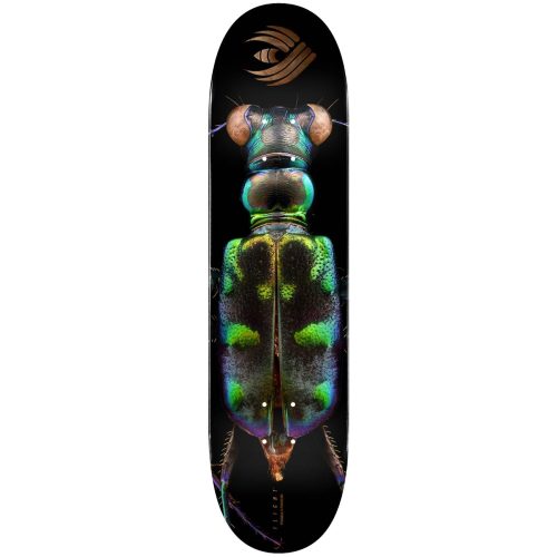 Powell Peralta Flight® Skateboard Deck BISS Tiger Beetle Shape 248 8.25 Canada Online Sales Vancouver Pickup Warehouse Distributor
