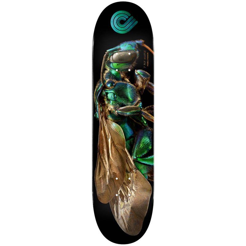 Powell Peralta BISS Cuckoo Bee Skateboard Deck Shape 242 K20 8 x 31.45 Skateboard Canada Pickup Vancouver
