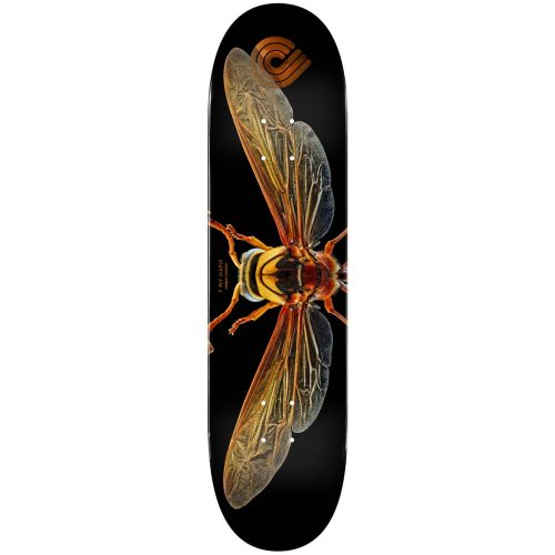 Powell-Peralta BISS Potter Wasp Skateboard Deck Shape 247 8" x 31.45" Maple Deck Canada Pickup Vancouver