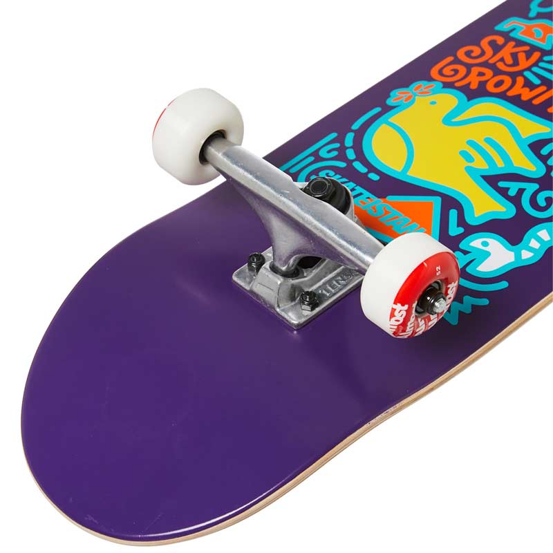 Almost Skateboard Complete Skateistan Sky Brown Doodle Purple 7.875" 