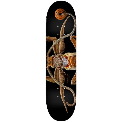 Powell Peralta BISS Marion Moth Skateboard Deck Shape 243 8.25 x 31.95 Canada Pickup Vancouver