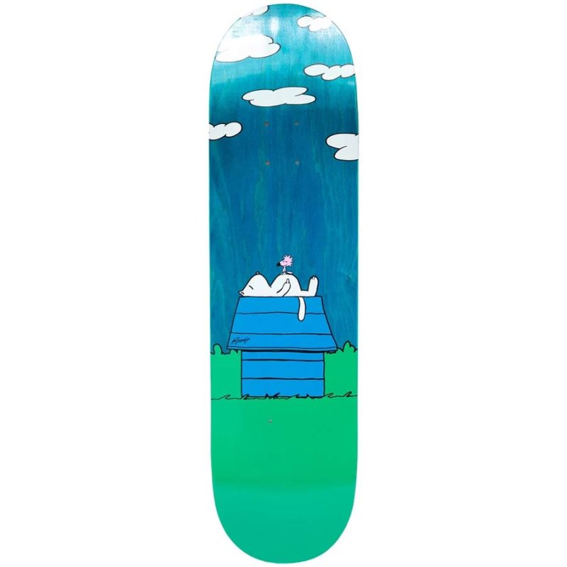 RIPNDIP NOT TODAY DECK 8.25 8.5 Blue Skateboard Canada Pickup Vancouver