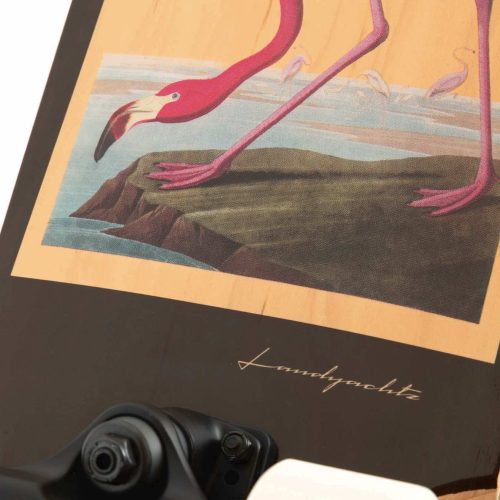 Landyachtz Dinghy Blunt Flamingo Complete Canada Online Sales Vancouver Pickup