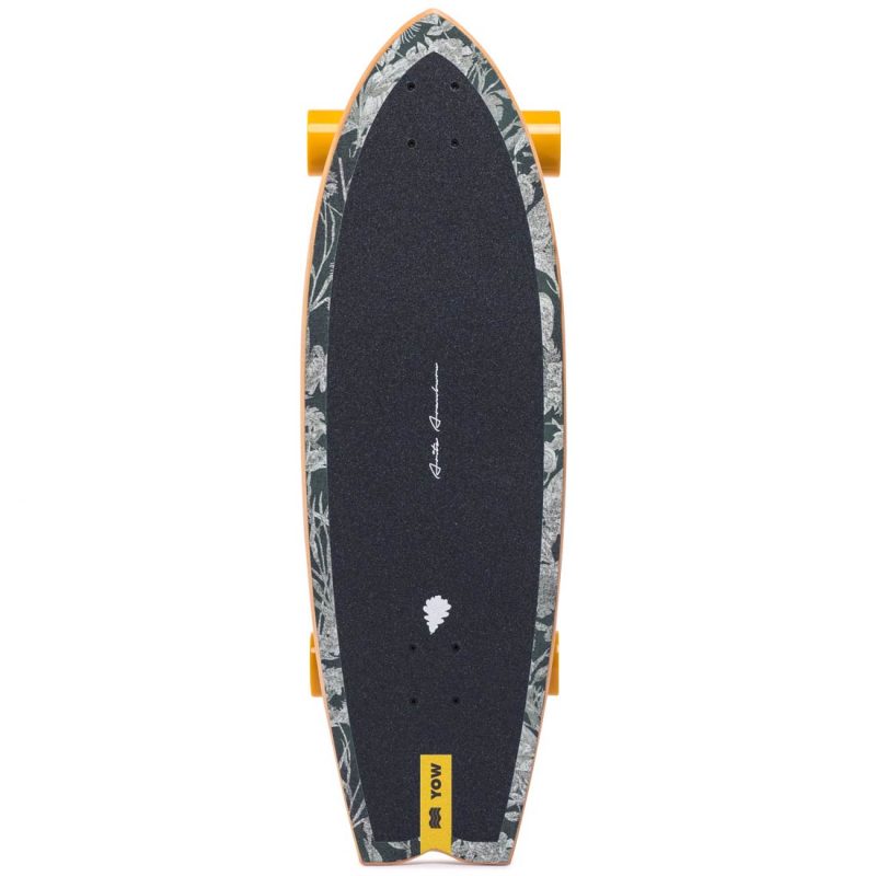 ARITZ-ARANBURU-32.5 Surf Skate City Vancouver Pickup Boarder.Labs Canada