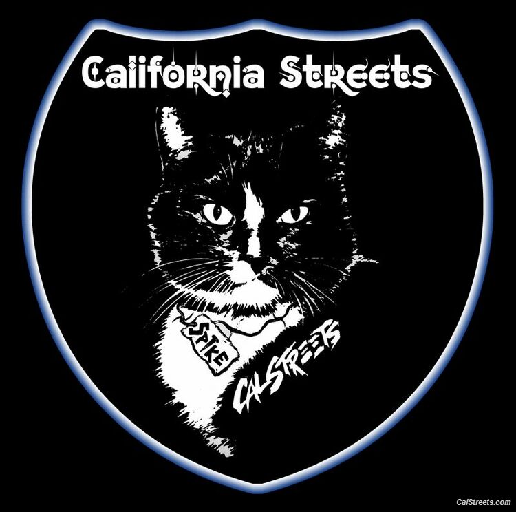 Spike the CalStreets Skateboard Kitty @CalStreets Vancouver