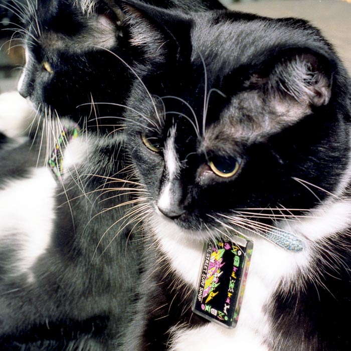 Spike the Cat CalStreets Skate Kitty Hardware Packs