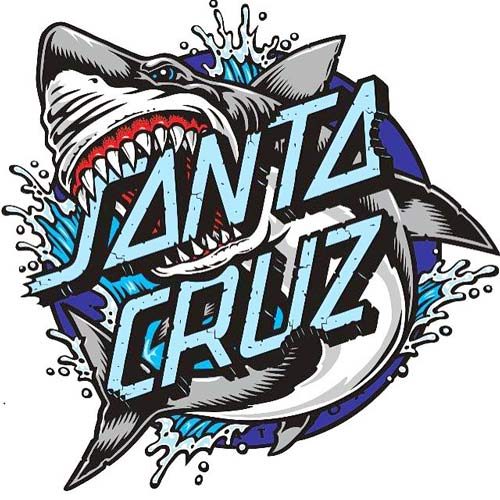 Buy Santa Cruz Complete Skateboards Online Canada pickup Vancouver